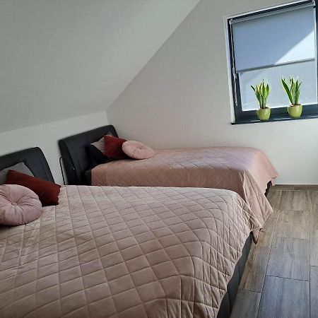 Apartmaji Tisa In Zana Rovte Exterior photo
