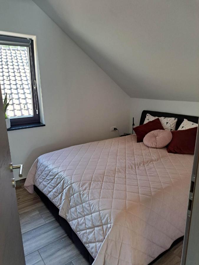 Apartmaji Tisa In Zana Rovte Exterior photo