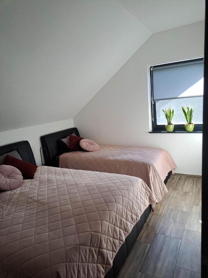 Apartmaji Tisa In Zana Rovte Exterior photo