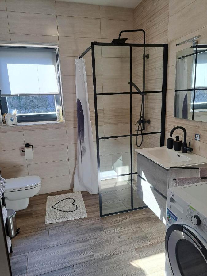 Apartmaji Tisa In Zana Rovte Exterior photo